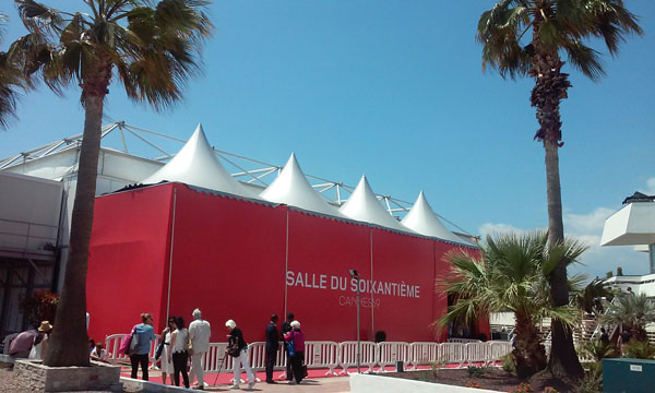 Palmier ciel bleu à Cannes pendant le festival croisette salle du soixantième