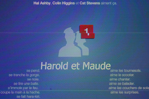 Harold et Maude - homepage