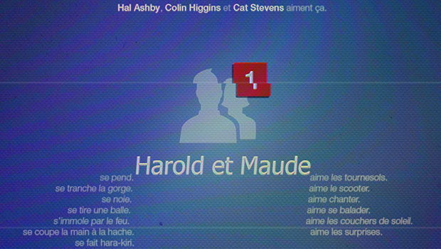 Harold et Maude - homepage