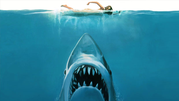 jaws les dents de la mer stieven spielberg illustration