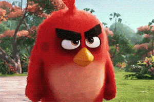 angry birds gif animé de red