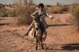 theeb naji abu nowar enfant sur un ane désert